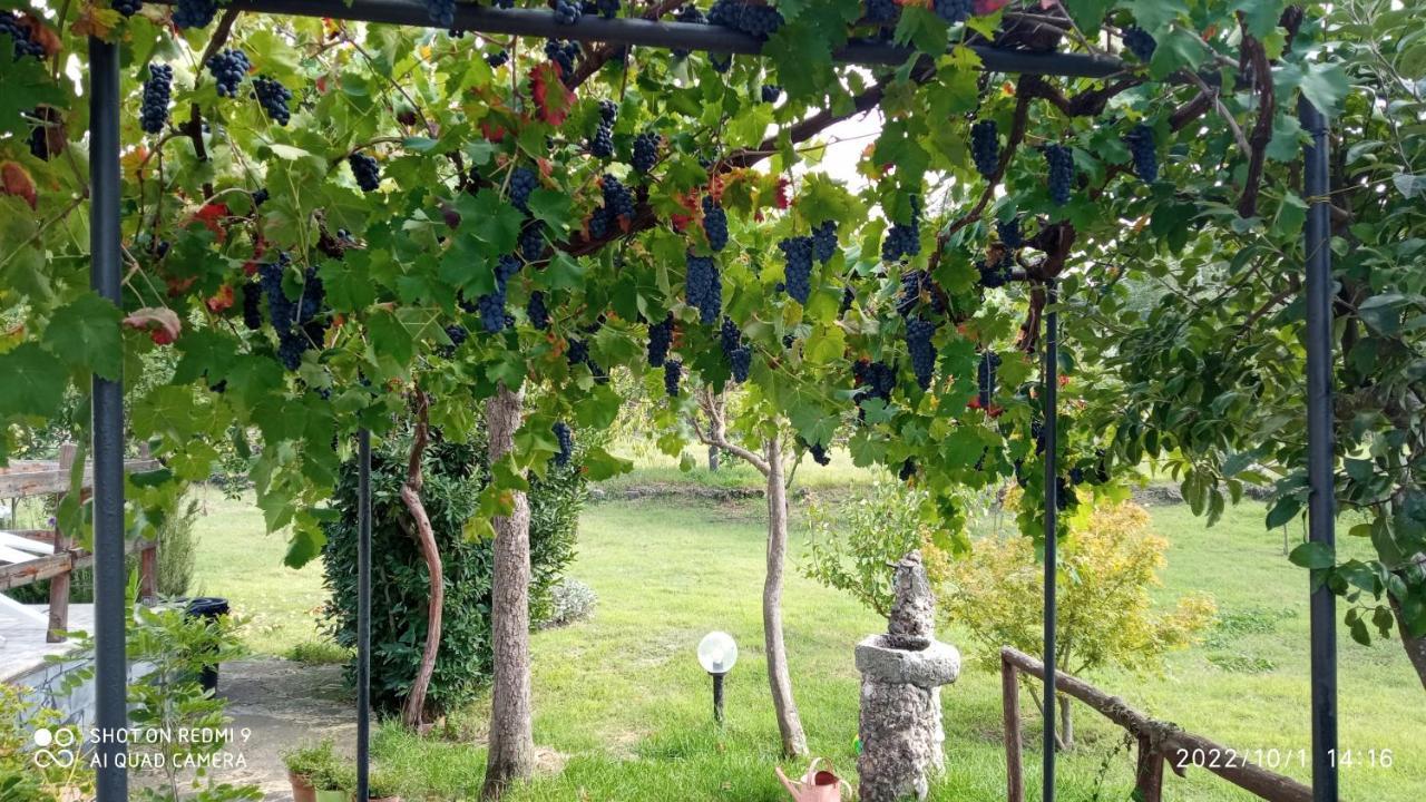 Etna, Salvia E Rosmarino Vila Maletto Exterior foto