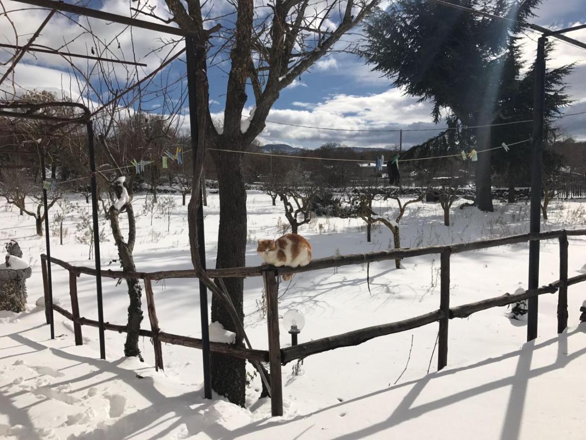 Etna, Salvia E Rosmarino Vila Maletto Exterior foto